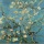 Flores de Amendoeira - Van Gogh